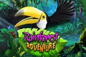 Rainforest Adventure